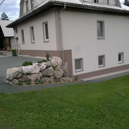 Apartment Viktoria *