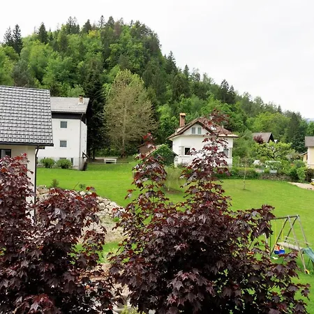 شقة فيكتوريا